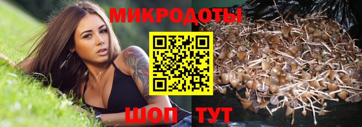Ревда  Галлюциногенные грибы Magic Shrooms  Вход с VPN 